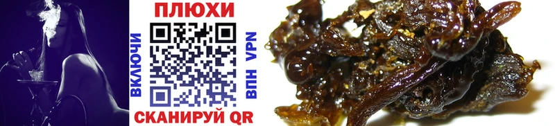 ГАШ AMNESIA HAZE  Кингисепп 