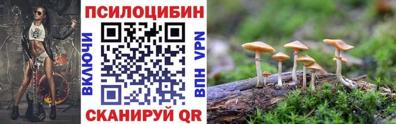 Псилоцибиновые грибы мицелий  Кингисепп 